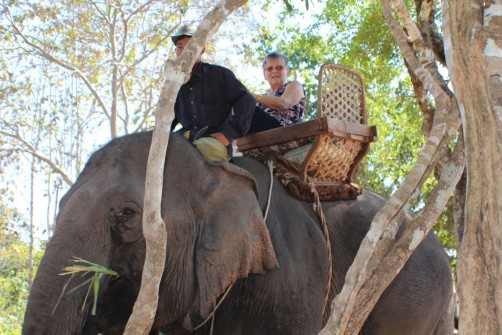 laos-reise-elefantenritt